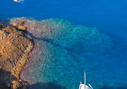 Diving,Around,The,Green,Island,At,The,Seaside,Of,La